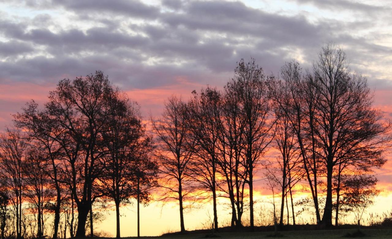 Gites A L'Ombre Des Chenes Châteauvieux Zewnętrze zdjęcie